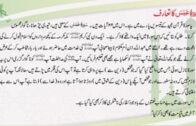 Section 1 Chapter 3 Surah Al-Jathiya